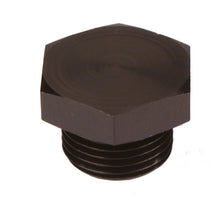 Load image into Gallery viewer, Aeromotive AN-10 O-ring Boss Port Plug