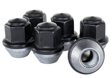 Load image into Gallery viewer, Ford Racing M12 x 1.5 Black Lug Nut - Set of 6 M-1012-BR