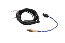 Load image into Gallery viewer, AEM Electronics Air / Fuel Ratio Sensor