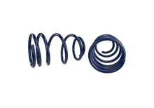 Load image into Gallery viewer, Ford Performance Parts Ford Racing 2007-2014 Mustang Shelby GT500 Springs