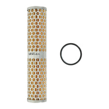 Load image into Gallery viewer, AEM Universal High Volume Fuel Filter Element