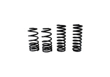Load image into Gallery viewer, Ford Performance Parts Ford Racing 1979-2004 Mustang Front/Rear Spring Kits
