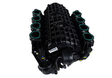Load image into Gallery viewer, Ford Performance Parts Coyote 5.2L Intake Manifold (Requires frM-9926-M52)