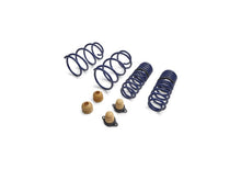 Load image into Gallery viewer, Ford Performance Parts Ford Racing 2012-2013 BOSS 302 Lowering Springs