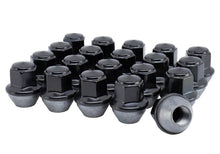 Load image into Gallery viewer, Ford Performance Parts Ford Racing 15-18 Mustang Black Lug Nut Kit (20 Lug Nuts)