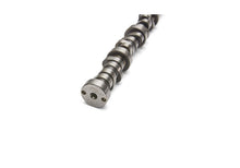 Load image into Gallery viewer, Ford Performance Parts Ford Racing Small Block V-8 Hydraulic Roller Tappet Camshafts