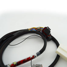 Load image into Gallery viewer, K Series K20 K24 Fuel Tech 550 Adapter Expansion Harness For ECU Display FT550