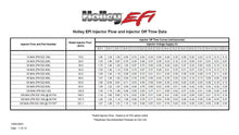 Load image into Gallery viewer, EFI Performance Fuel Injectors - Set of Eight - Bosch/EV1 - 42 lb/hr - High Impedance