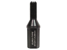 Load image into Gallery viewer, Godspeed Euro-Type Taper Cone Lug Bolts 10 Piece Set