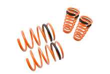 Load image into Gallery viewer, Megan Racing Lowering Springs Front &amp; Rear for Acura RSX 2002-2004 - MR-LS-AR02