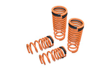 Load image into Gallery viewer, Megan Racing Lowering Springs for Nissan GT-R 2009-2018 - MR-LS-NR35