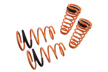 Load image into Gallery viewer, Megan Racing Lowering Springs for Scion TC 2005-2010 Drop 50mm SAE 9254 Cold Wound Steel Powder-coated MR-LS-STC05