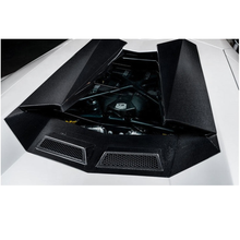 Load image into Gallery viewer, NT Style Dry Carbon Fiber Engine Bonnet Air Intake Panel for Lamborghini Aventador