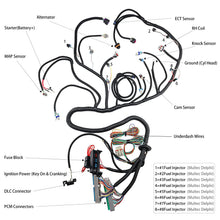 Load image into Gallery viewer, LS T56 DBW STANDALONE WIRING HARNESS or Non-Electric Tran 4.8 5.3 6.0